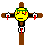 Graviton Crucific